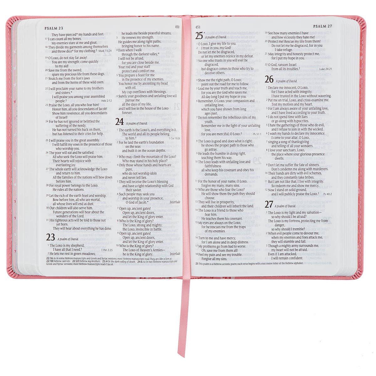 Baby Keepsake Bible – Pink