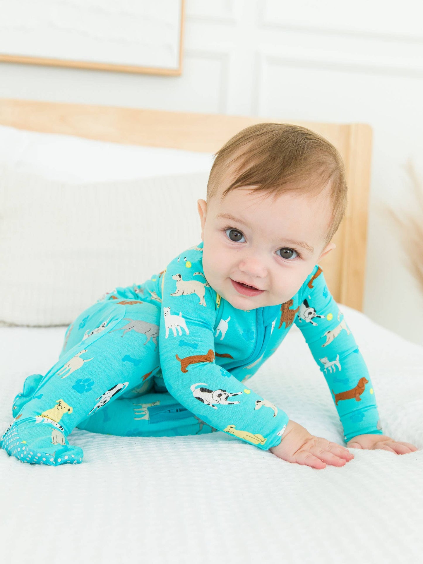 Puppy Playtime Bamboo Viscose Footed One Piece Pajama